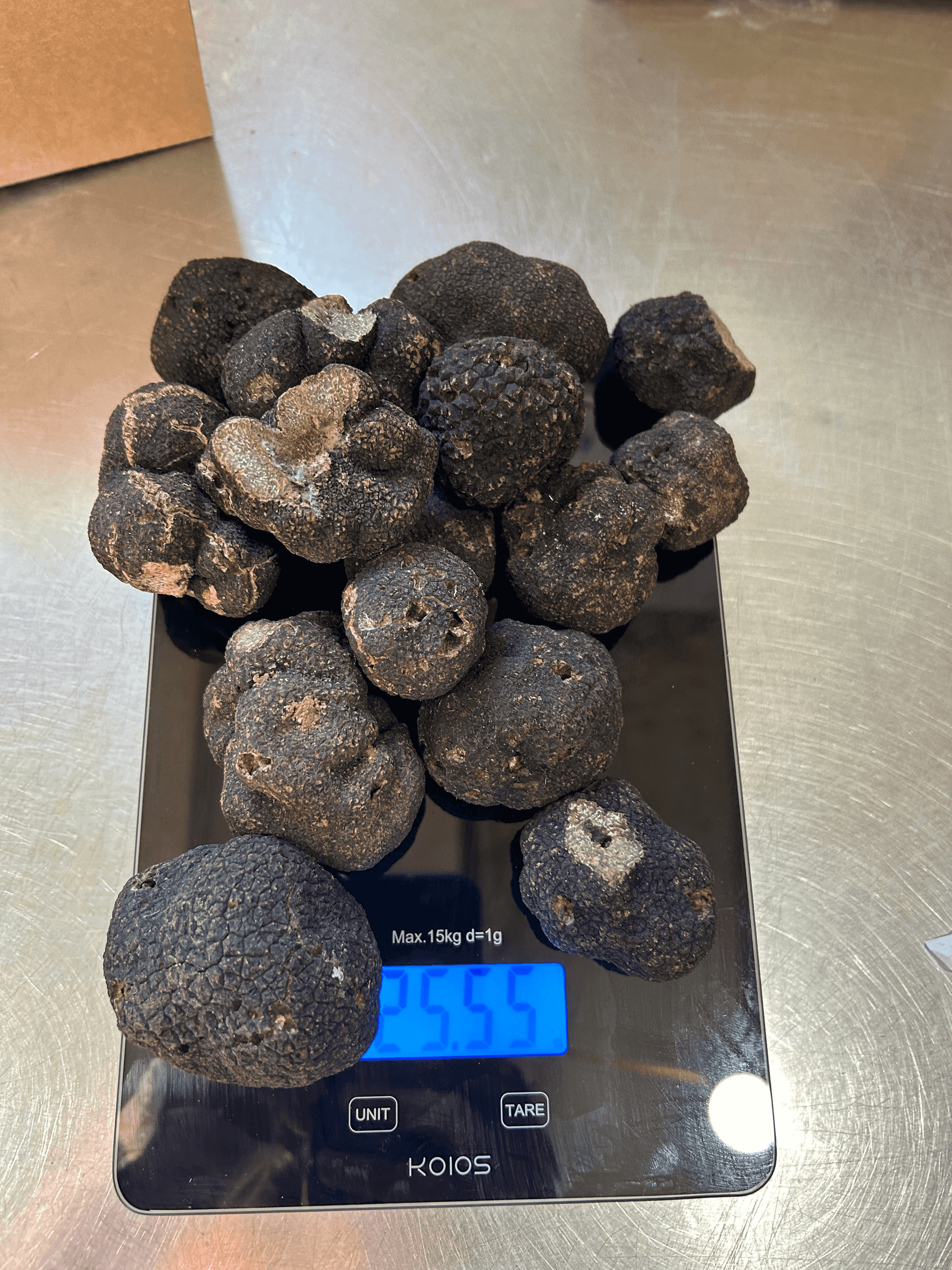 Free Shipping - Black Périgord Truffle (Tuber melanosporum)(1oz, 3oz, 8oz, 16oz) - Fresh - Wild Harvested from Italy