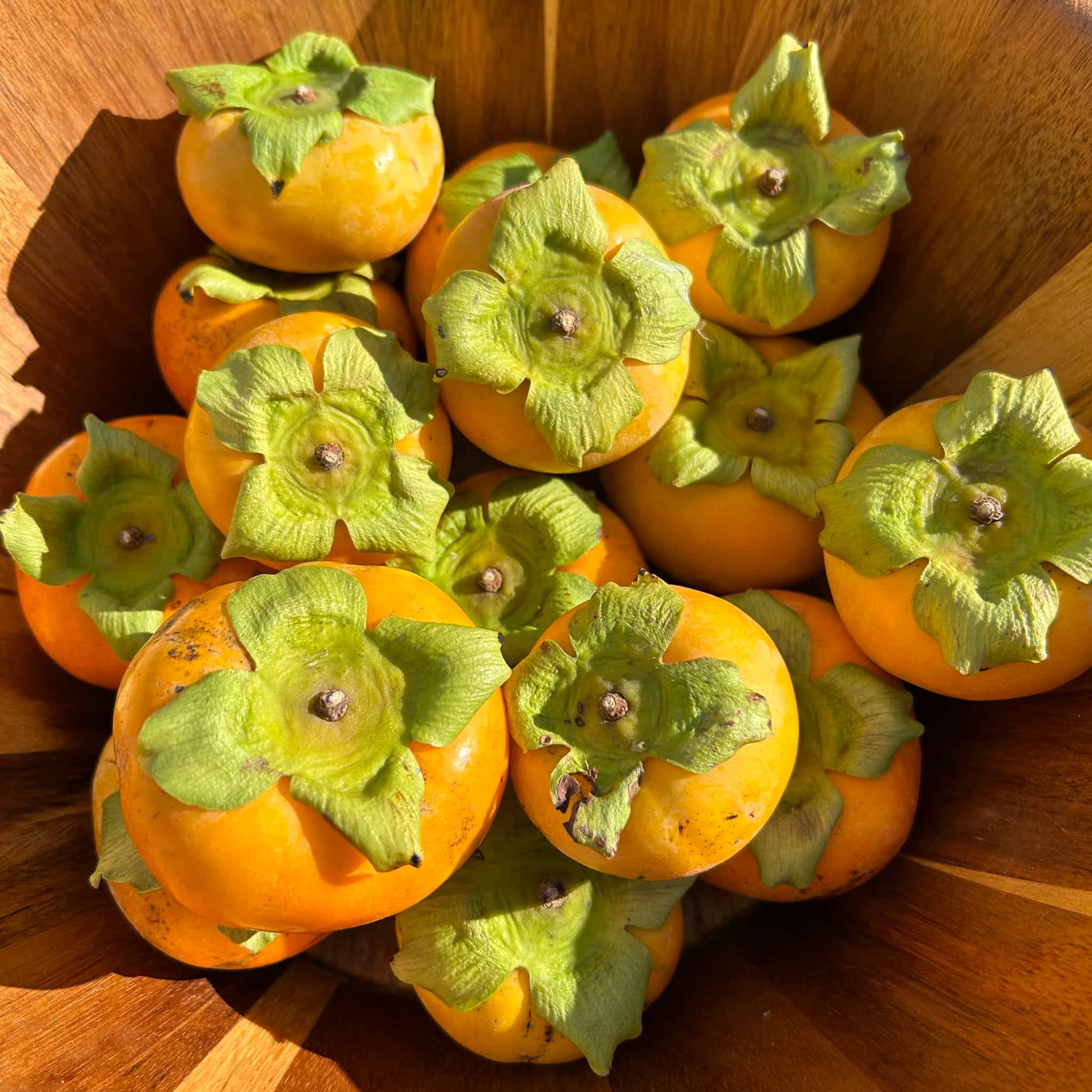 Persimmons (Astringent Varieties)(1lb, 3lb, 5lb - Bulk Discounts)(Free Shipping)