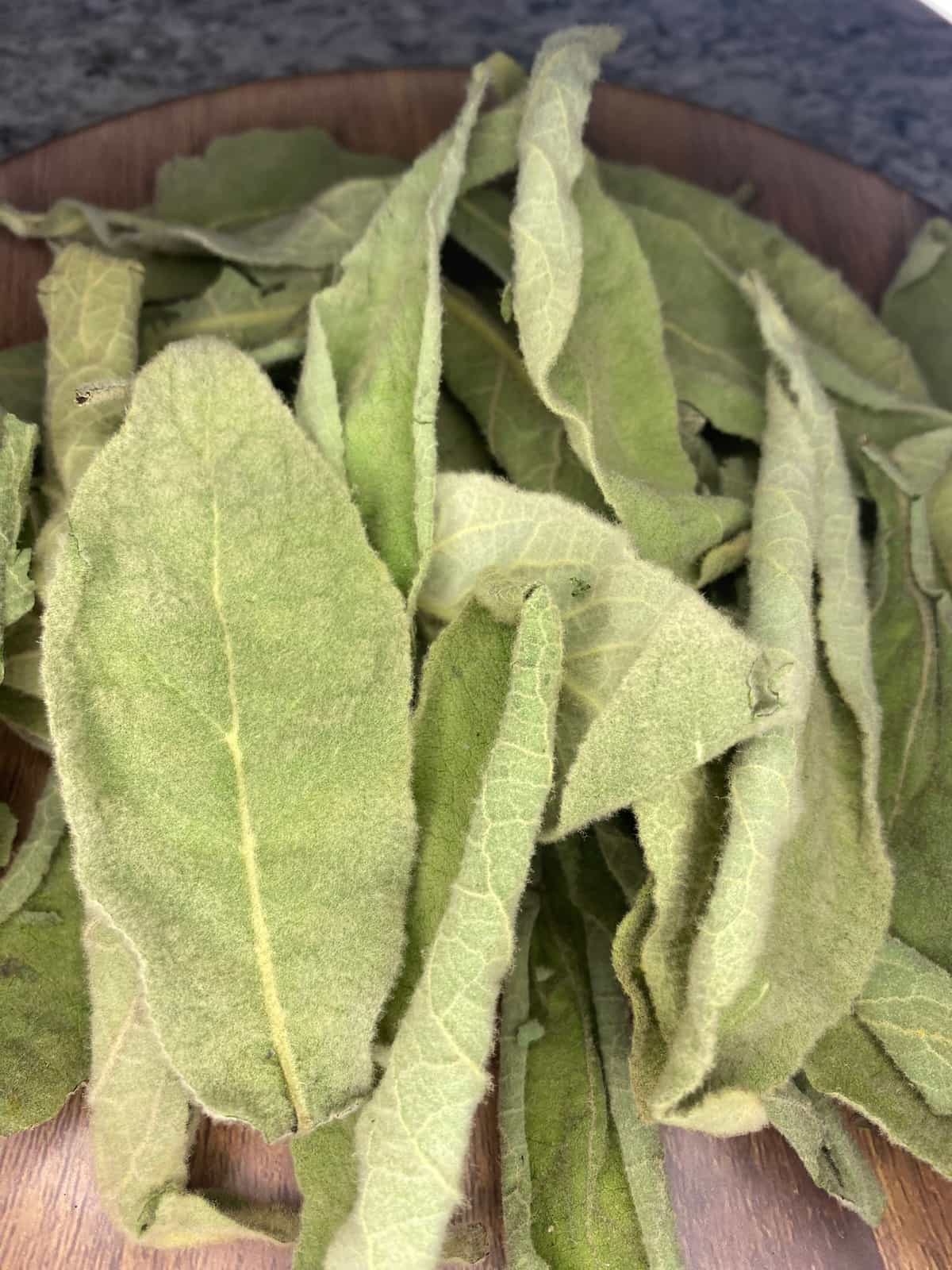 Wild Dried 1st Year Mullein Leaves - Foraged