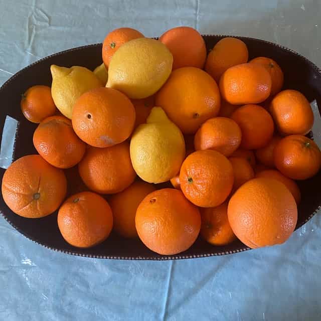 Gourmet California Citrus Combo Sicilian Style Lemons  and Cara Cara Pink Navel Oranges appx 8lbs 18/24ct No Spray  No Wax  No Processing  No  Packing Material