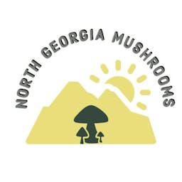 North Georgia  Mushrooms