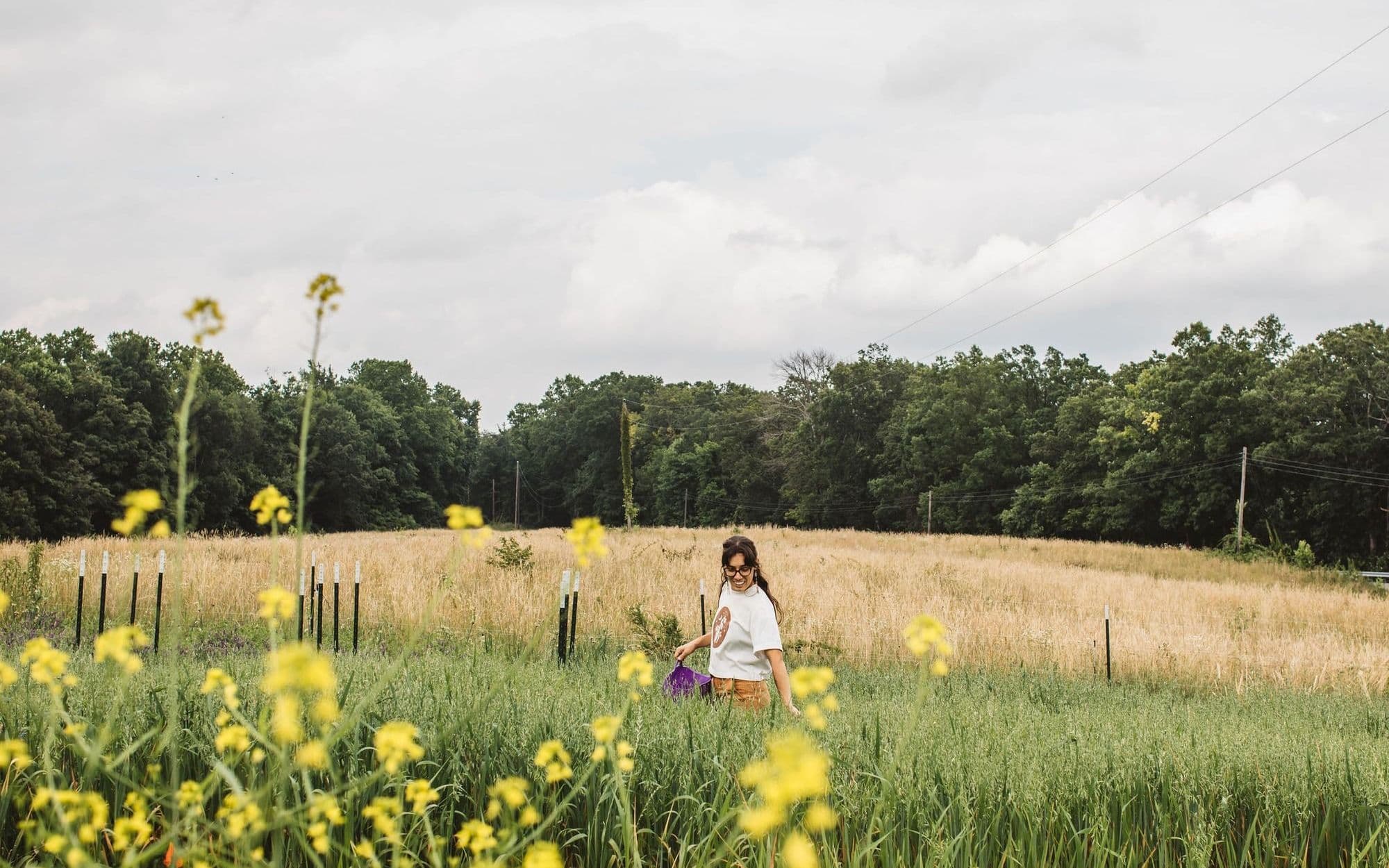 Bird Fork Farm's banner