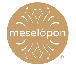 Meselopon Ltd