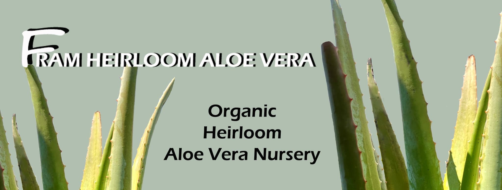 Fram Heirloom Aloe Vera LLC's banner