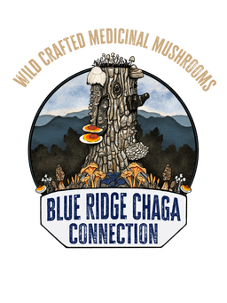 Blue Ridge Chaga Connection