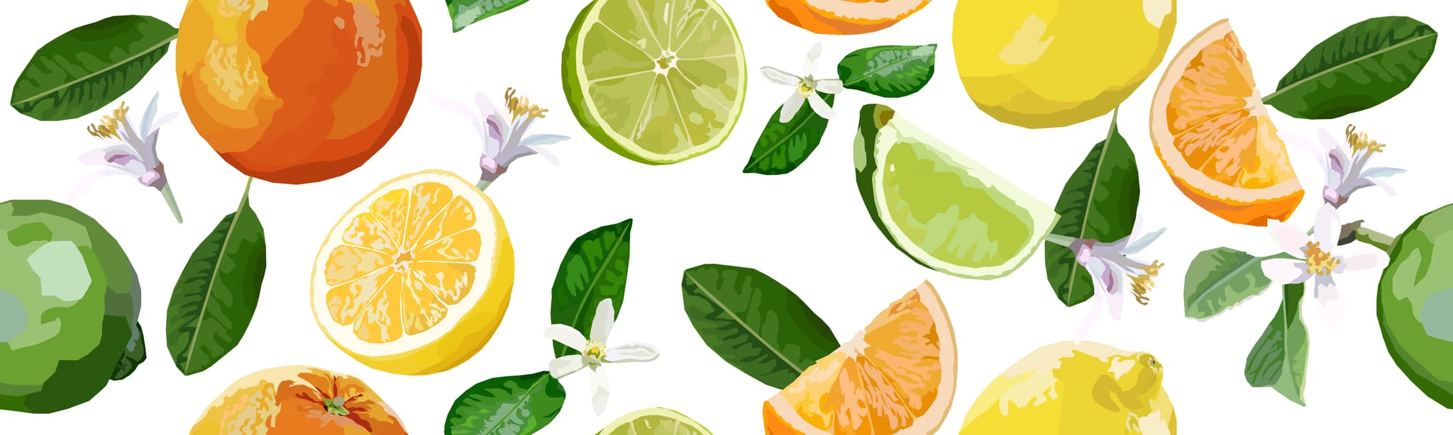 citrus sister's banner