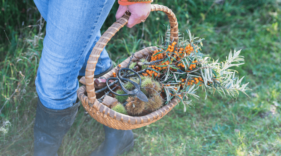 How Foraged Pays for Itself