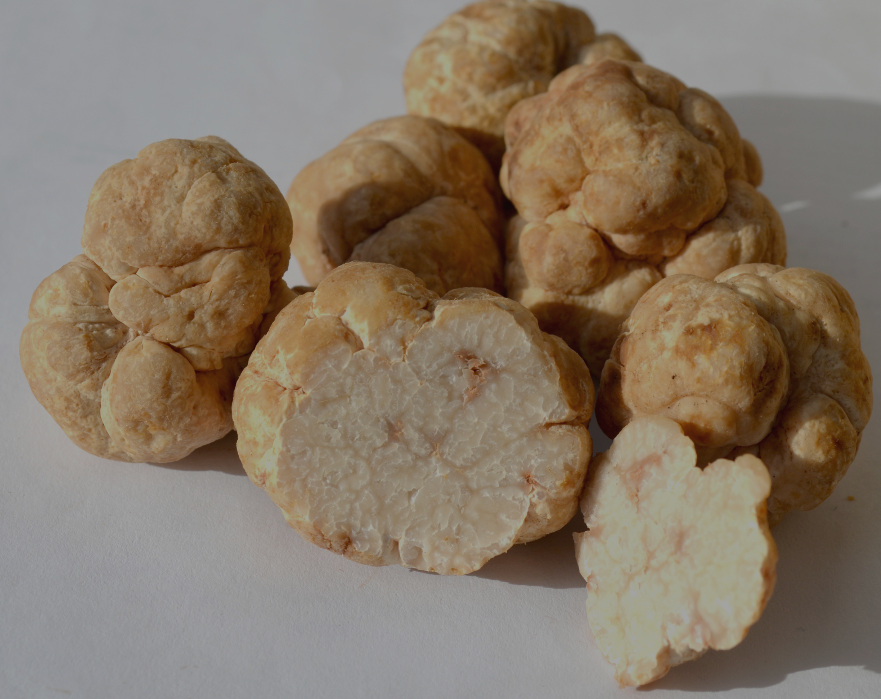 White Truffles