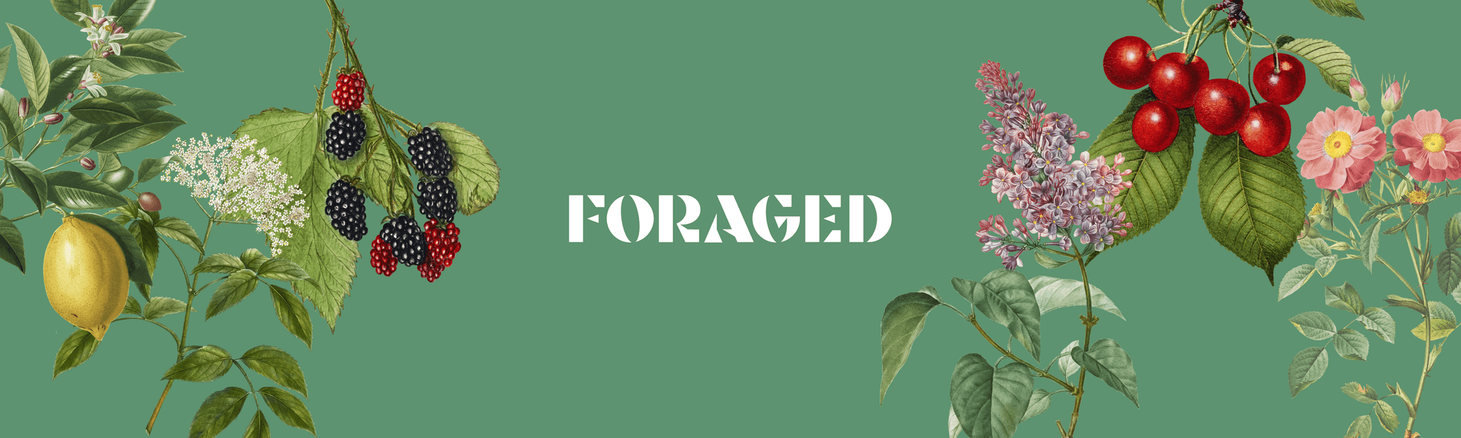 Hickory Nuts Direct's banner