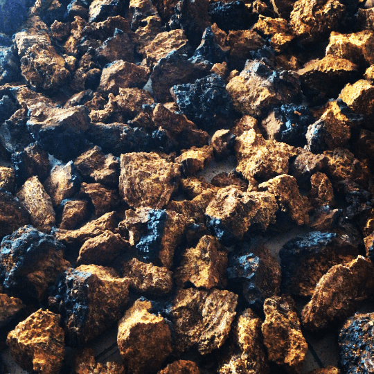 Taste of the Earth's banner