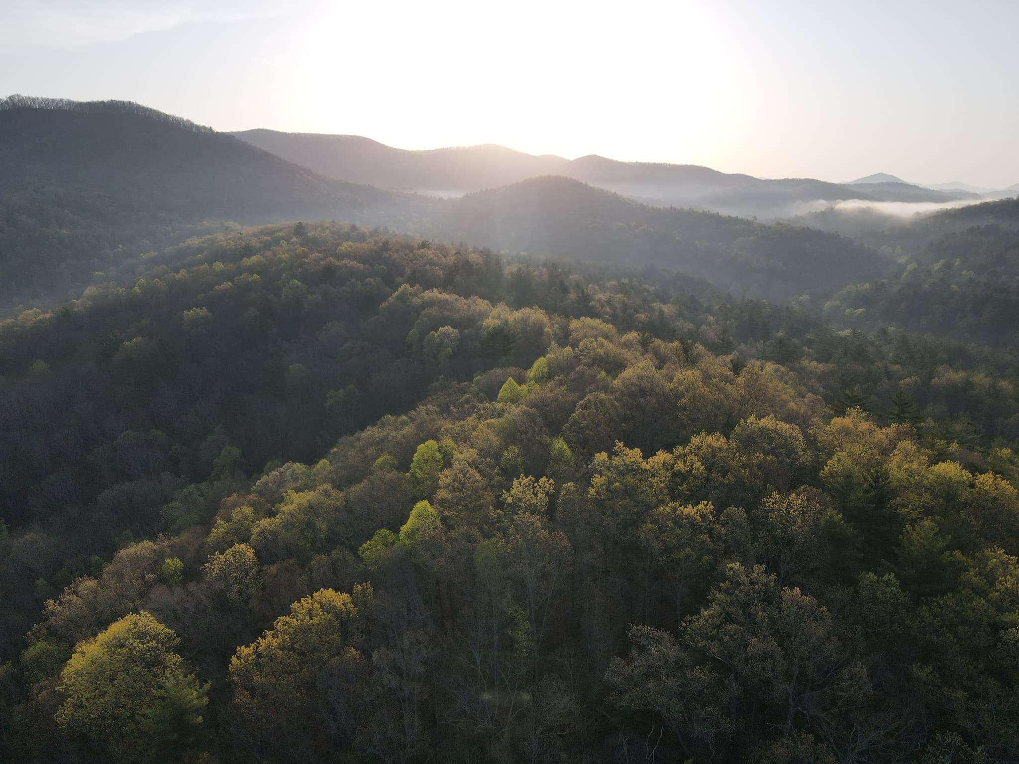 Golden Halo Farm's banner
