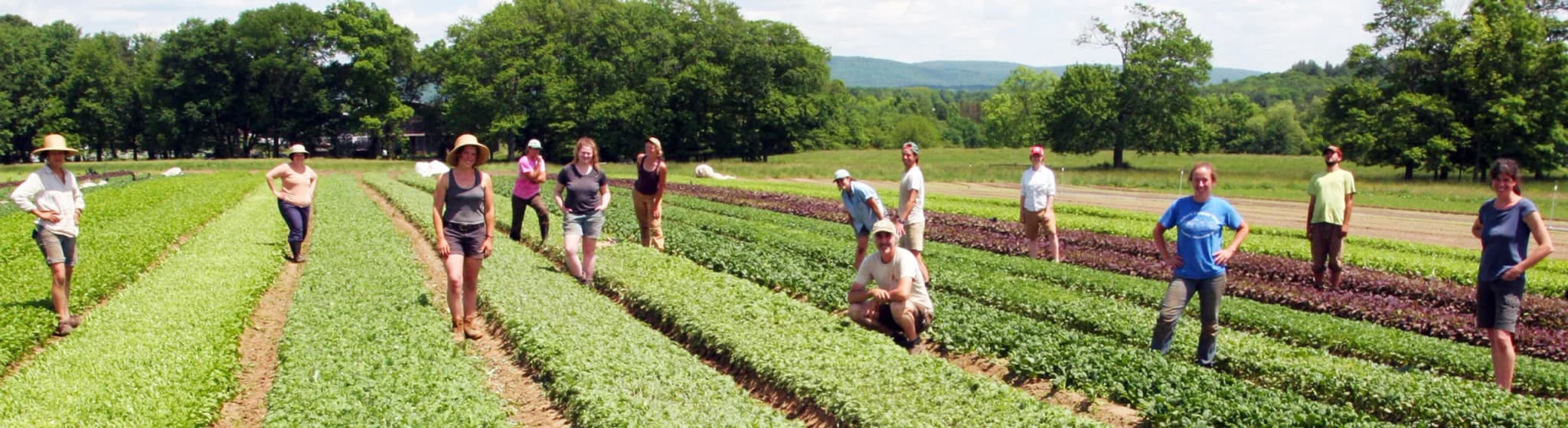 Old Friends Farm's banner