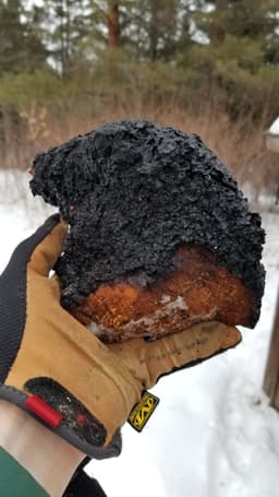 Lake Superior Chaga
